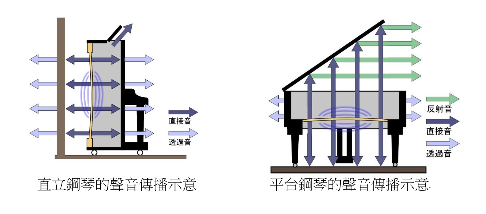 直立鋼琴聲音傳播示意圖